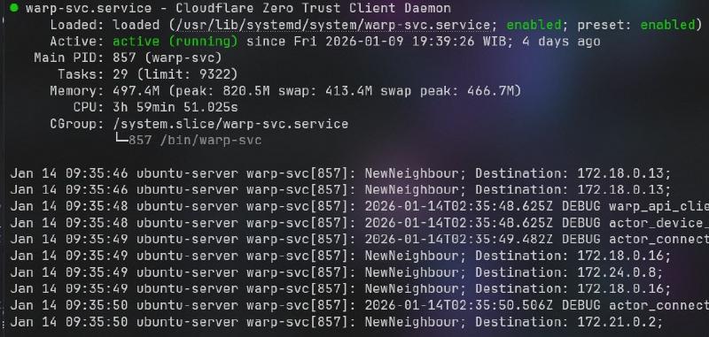 Cloudflare WARP memory leak