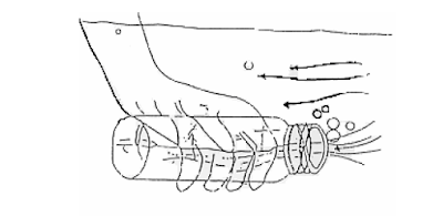 Contoh botol biasa secara langsung