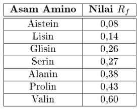 Tabel nilai Rf Asam Amino