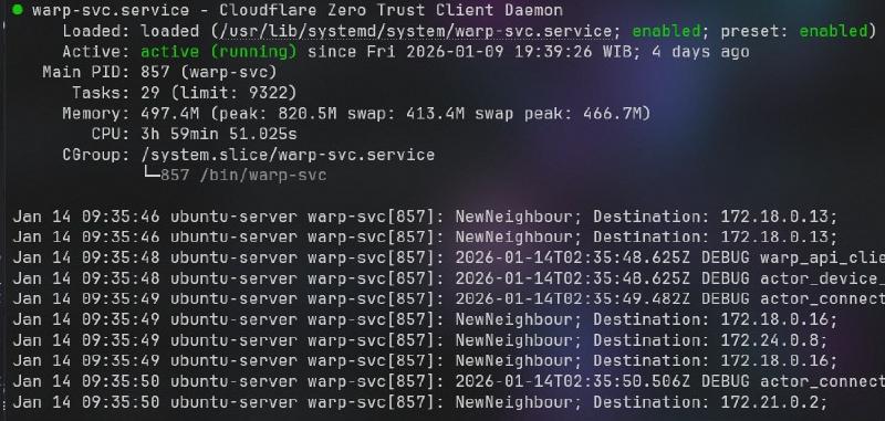 Cloudflare WARP memory leak