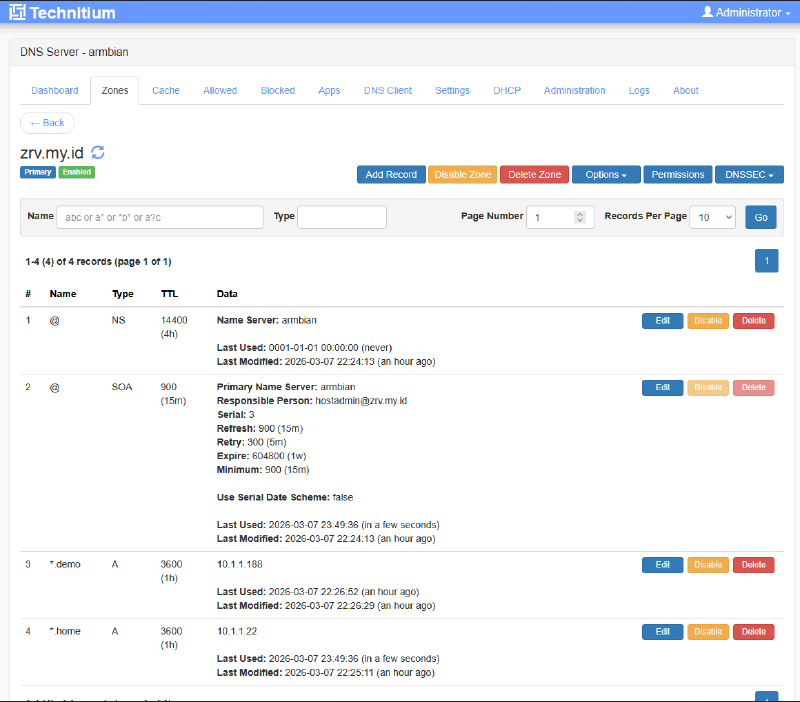 Example DNS Zone on Technitium DNS